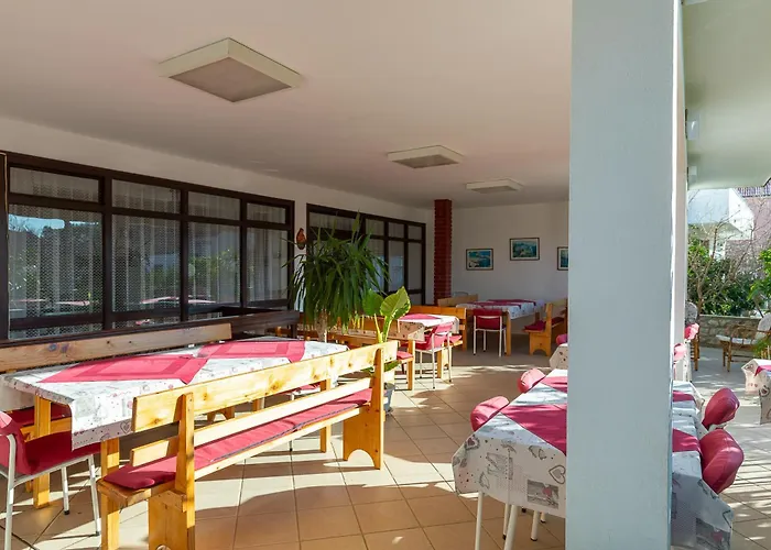 Tinka, No 9 Starigrad Paklenica